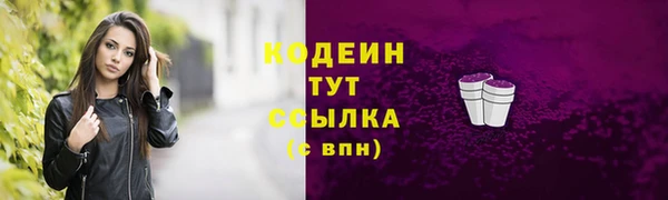 дживик Абаза