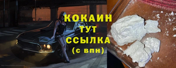 дживик Абаза