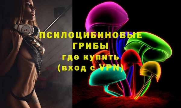 дживик Абаза