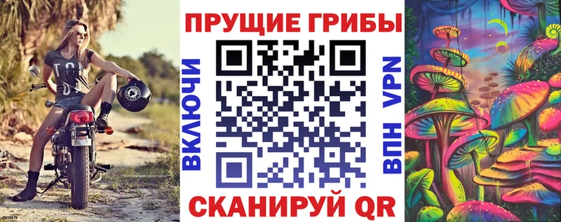 hydra вход Ефремов Псилоцибиновые грибы MAGIC MUSHROOMS
