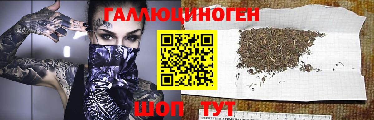Ефремов  Галлюциногенные грибы мицелий  Вход с VPN 